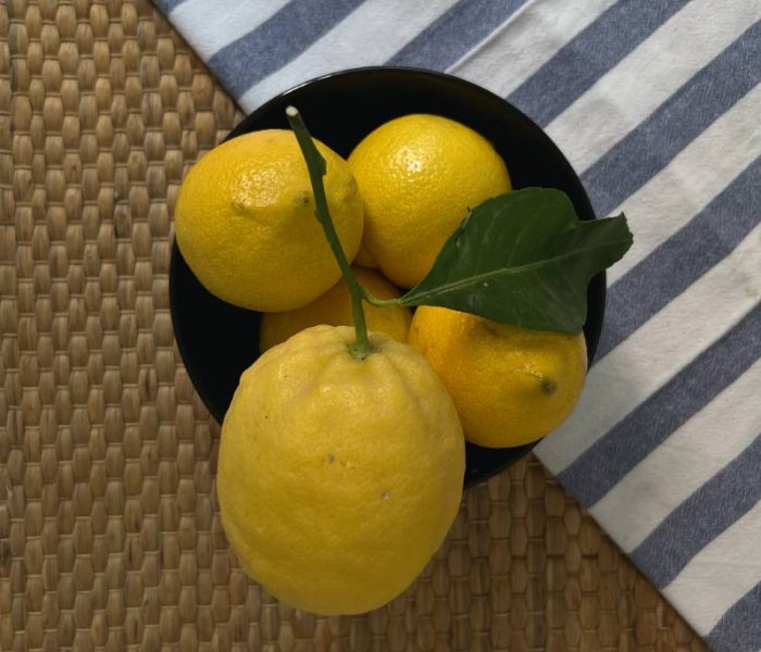 cremolata-limoni